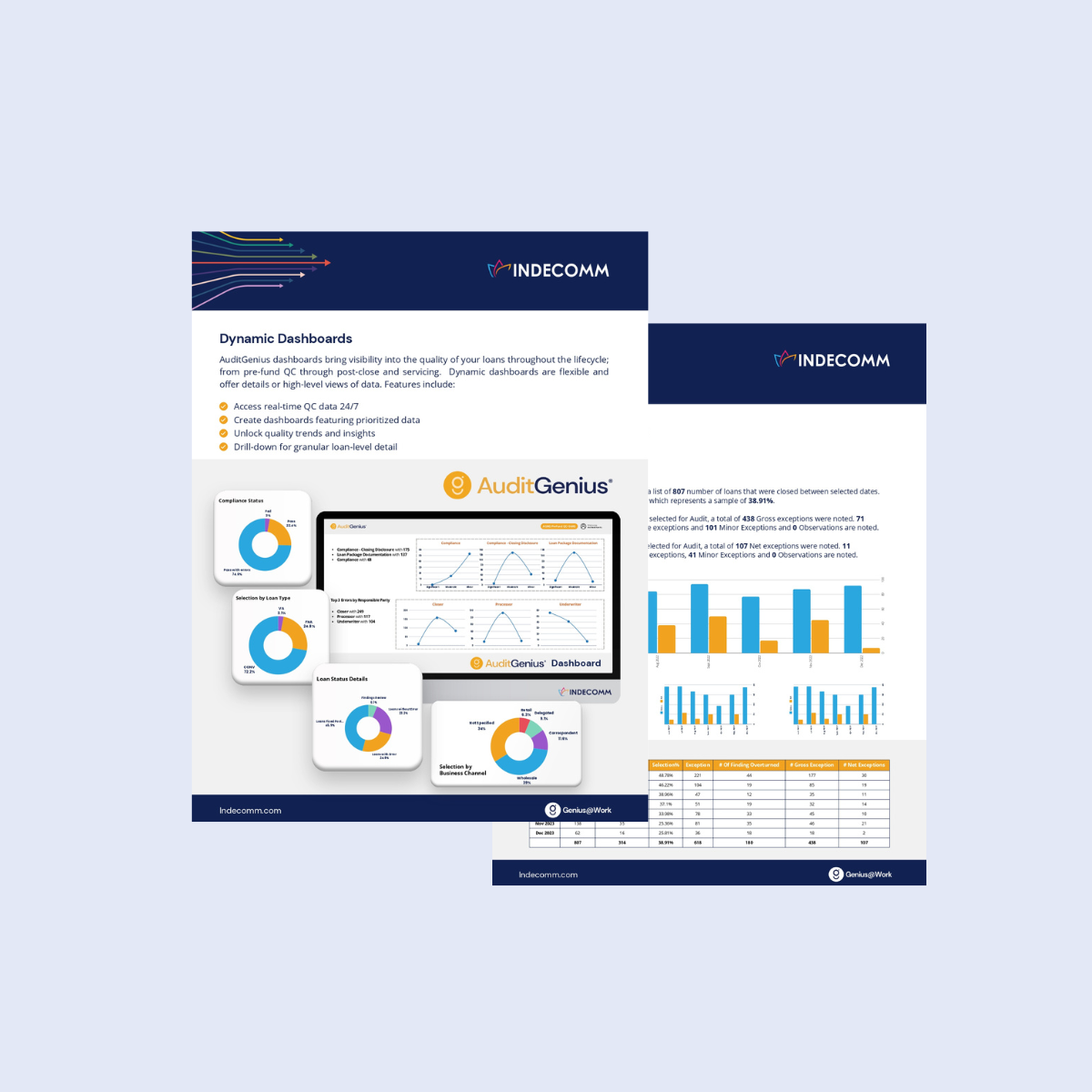 AuditGenius sample report